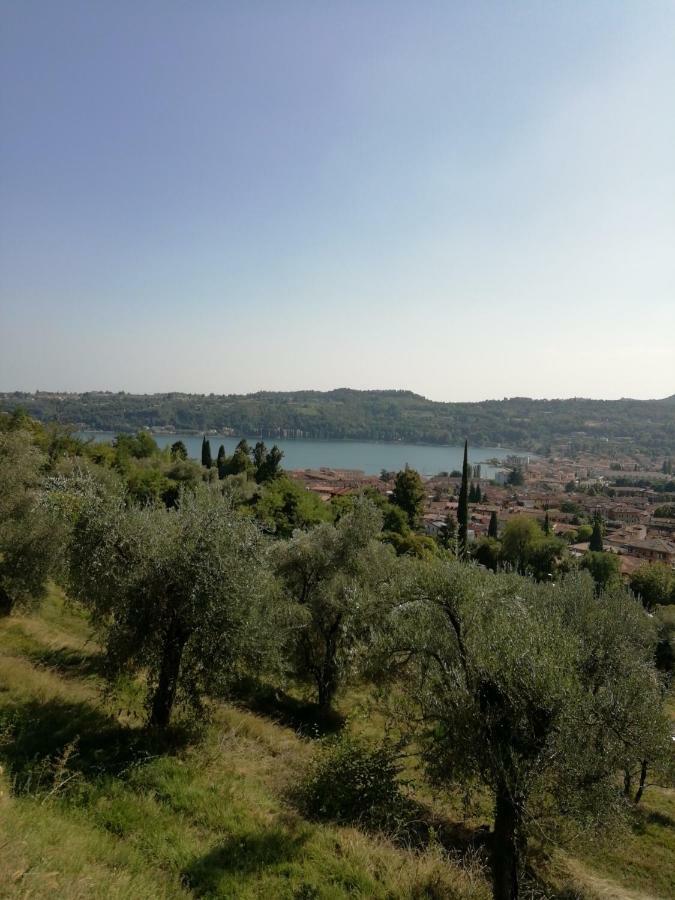 Agriturismo Podere Nigriano Сало Экстерьер фото